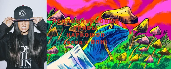 тгк Арсеньев